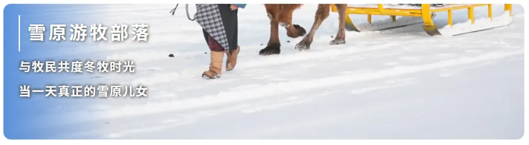 d6e609f7479b35a974b208299ed20077-sz_303568