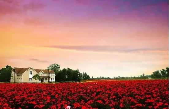 d701e0a255214a819bc88f6416199f7b-sz_390703 d701e0a255214a819bc88f6416199f7b-sz_390703