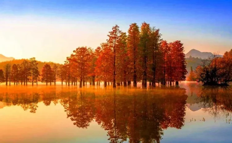 d73265a61f16d5652b0f4095732a20a5-sz_1245173