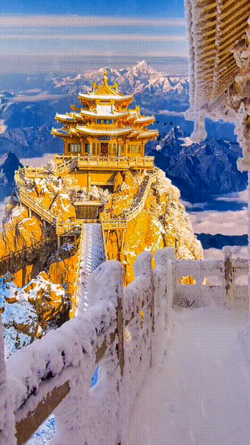 d73e39c121a5c343b52b424ccca99c82-sz_2467305