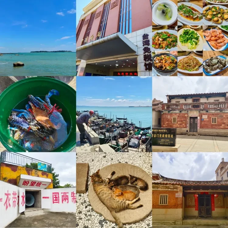 d75dda5d00afc915004a594c5fa6a720-sz_2527897