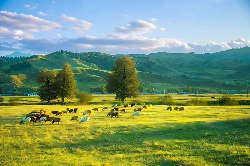 d780380a6f6618b5433e0589649edb9a-sz_115832