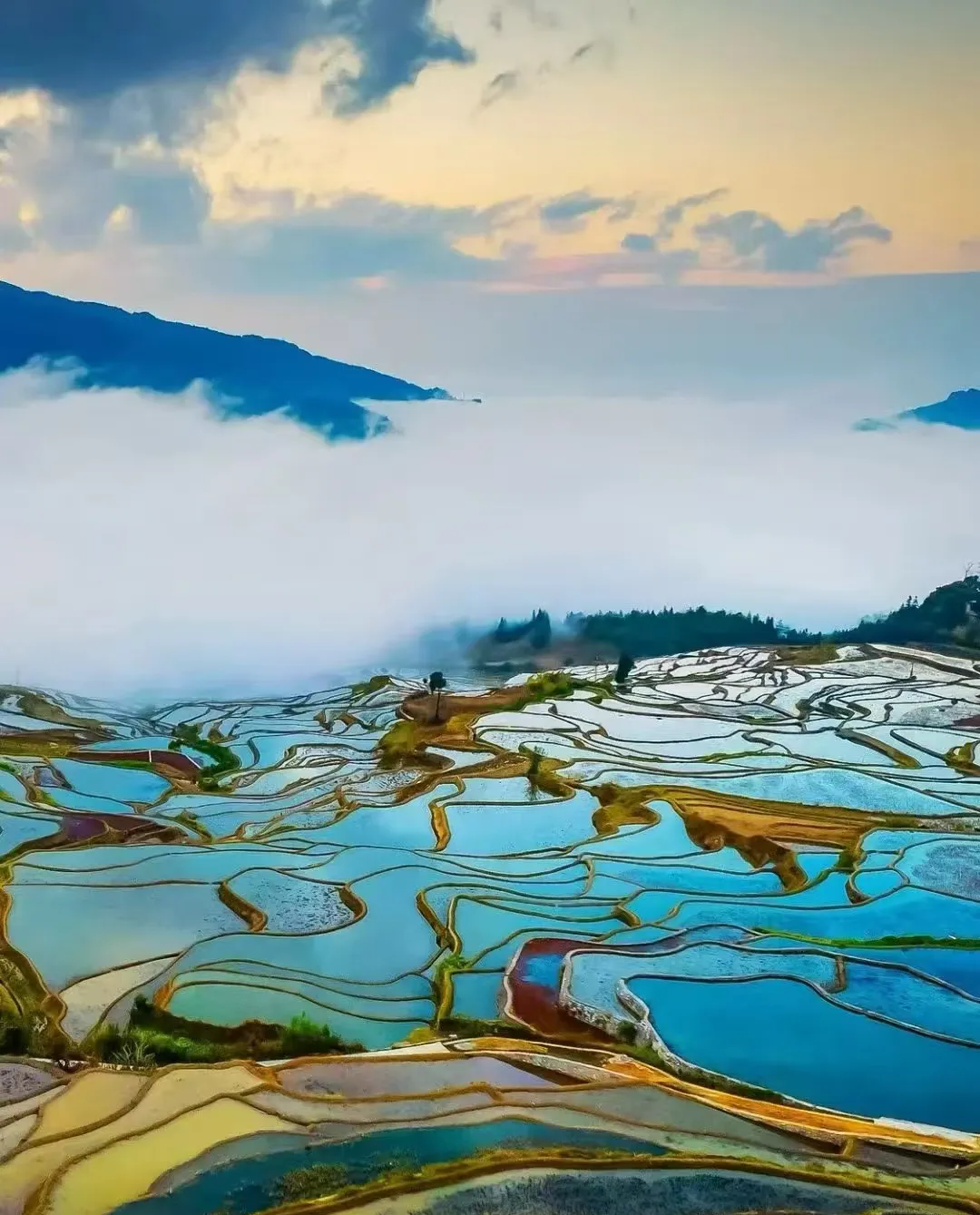 d7a915a6033c6ad56b5020eac05efec3-sz_772296-1