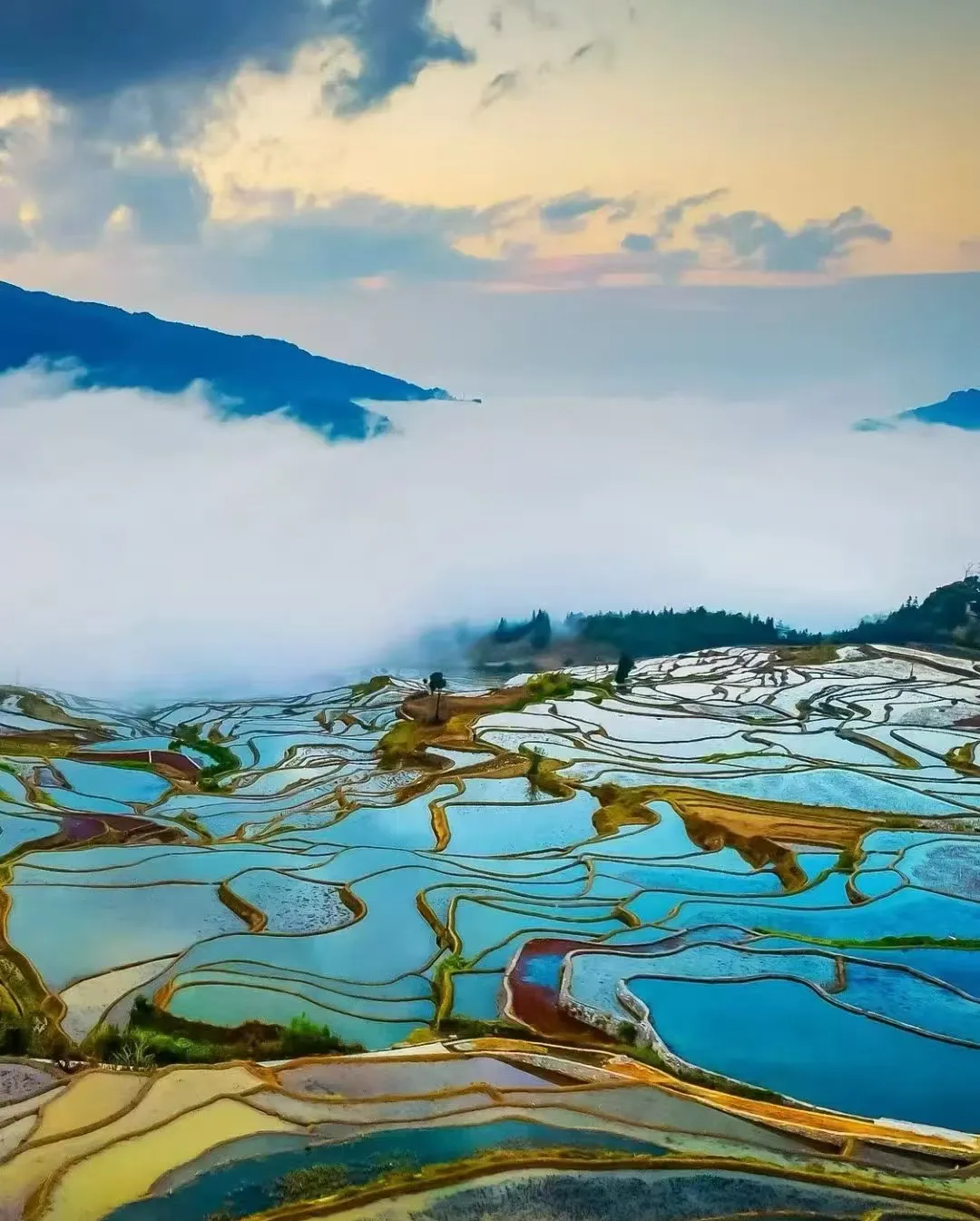 d7a915a6033c6ad56b5020eac05efec3-sz_772296