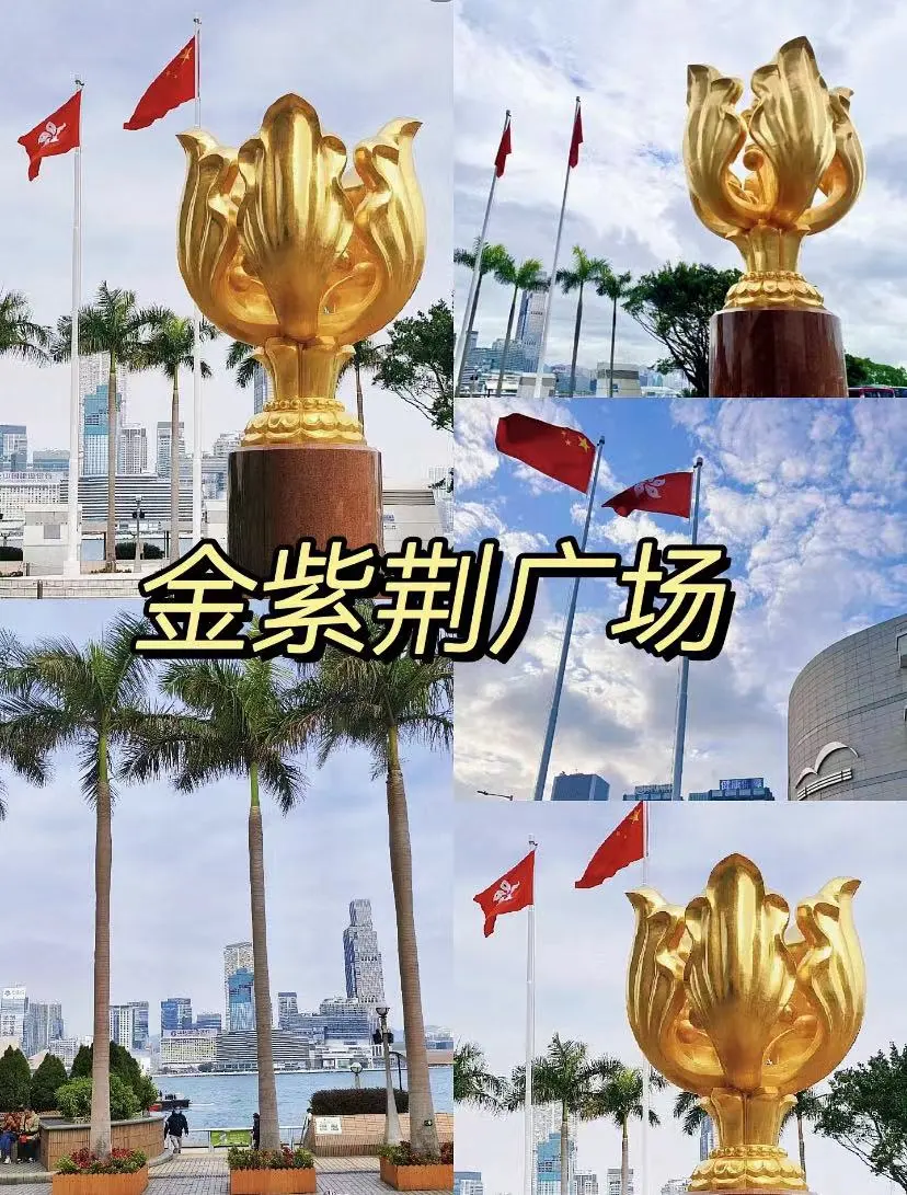 d7e6fd0615167ef4e30e8d91c4aade21-sz_203853