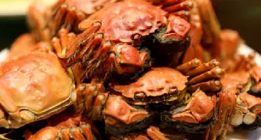 d7ebd423a1f9f4cb75820f3cd988f86f-sz_231207