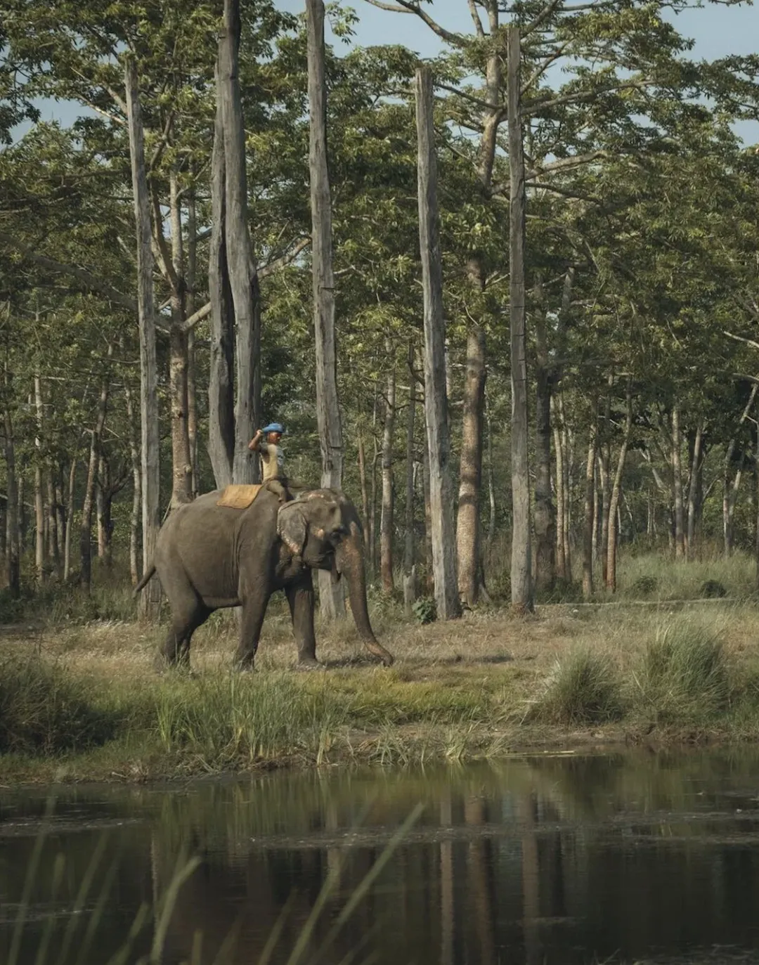 d7f489788d29a4b3cf9c5f18197ab397-sz_3011248 d7f489788d29a4b3cf9c5f18197ab397-sz_3011248