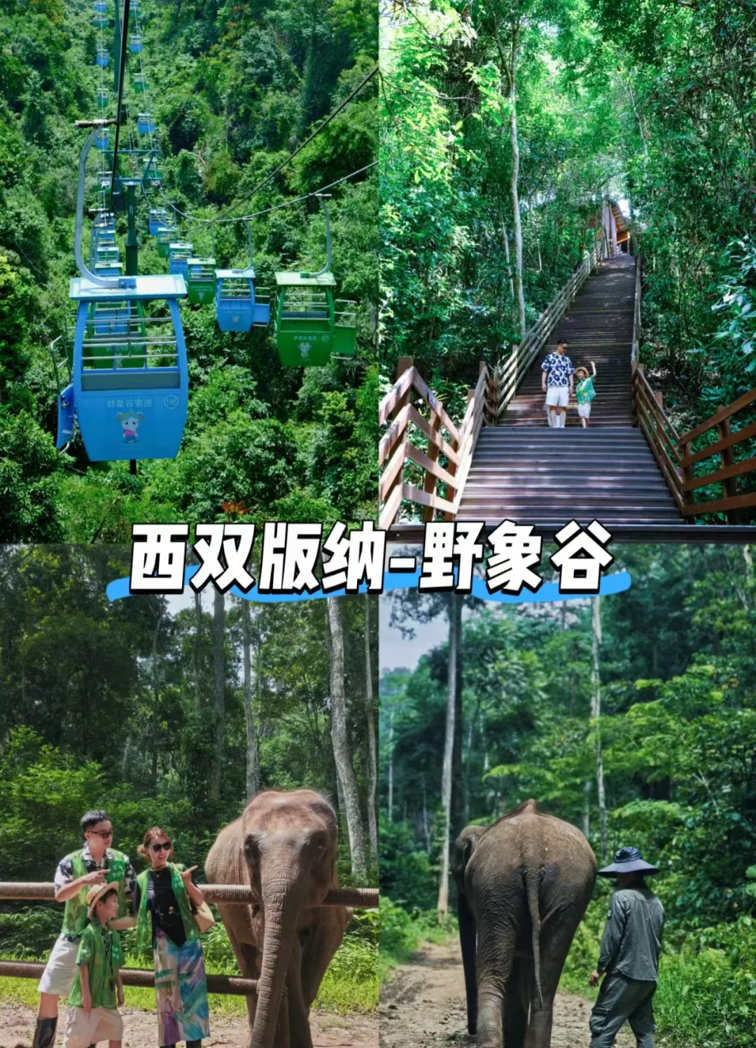 d7fb83cec2945bed3e683b08bf82d47a-sz_2049375