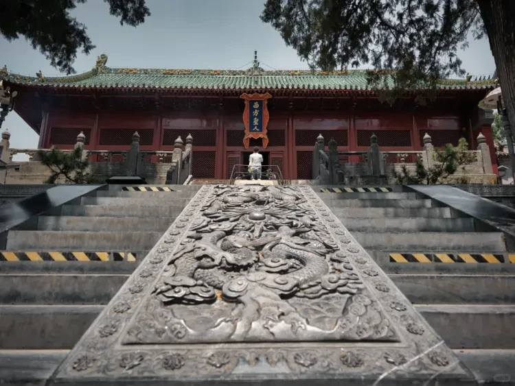 d8021178dd154359b5ac8690d3060d81-sz_3039053