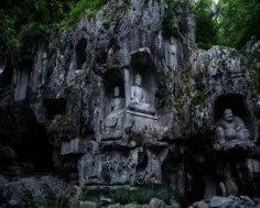 d82a3d3dc8cd84e549f51875def6c8c6-sz_117404