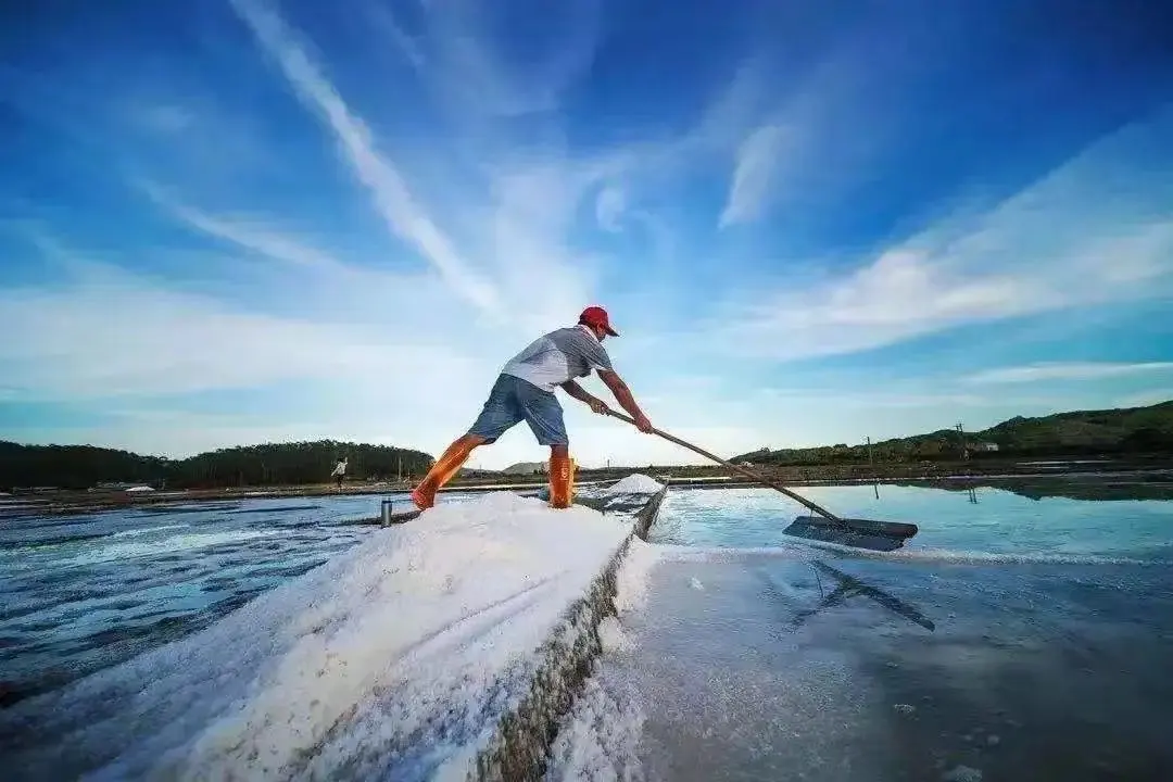 d82c859301626f9d098e6258b06a31ba-sz_89199