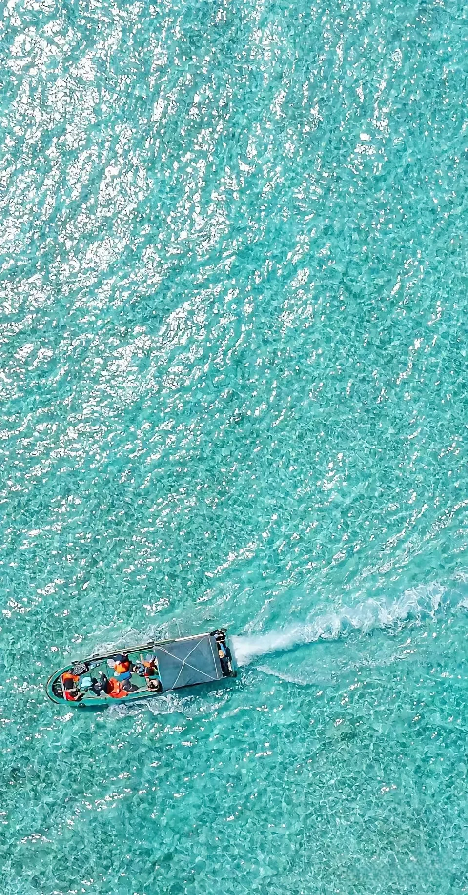 d84ef5cfde0cc5e3ab134ff0232e69bd-sz_1886033