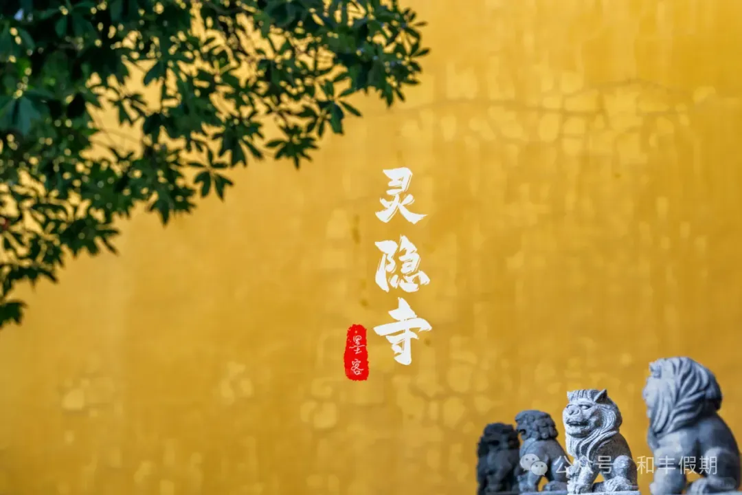 d8b8dbb8bec707450934efcd23cb47bf-sz_1040242