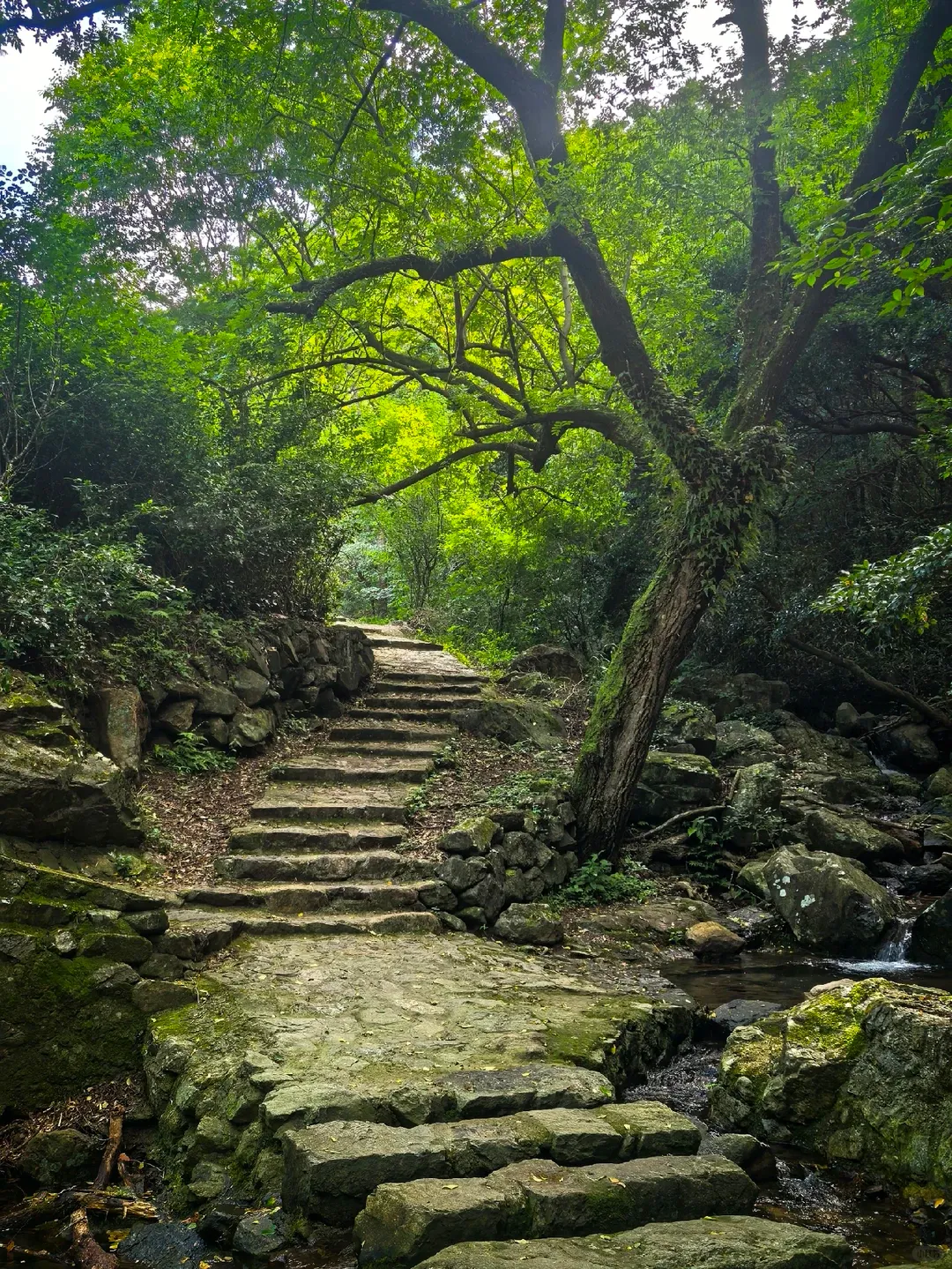 d95288b46a0c98099675ca84b57ad332-sz_3784686