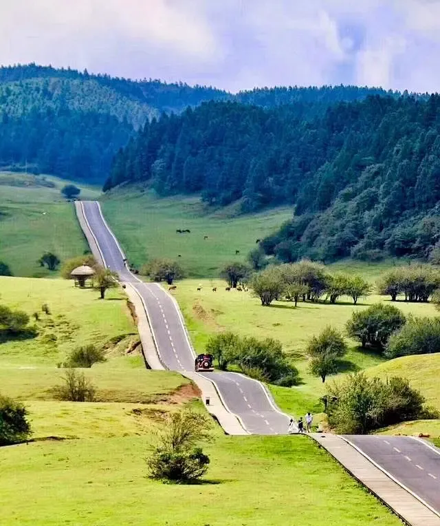 d97b1f443794da047ee8ca1cfc287488-sz_1414649