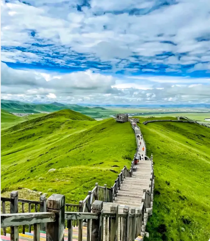 d97d03bd08a84c4a046d3b0eb664a013-sz_813315