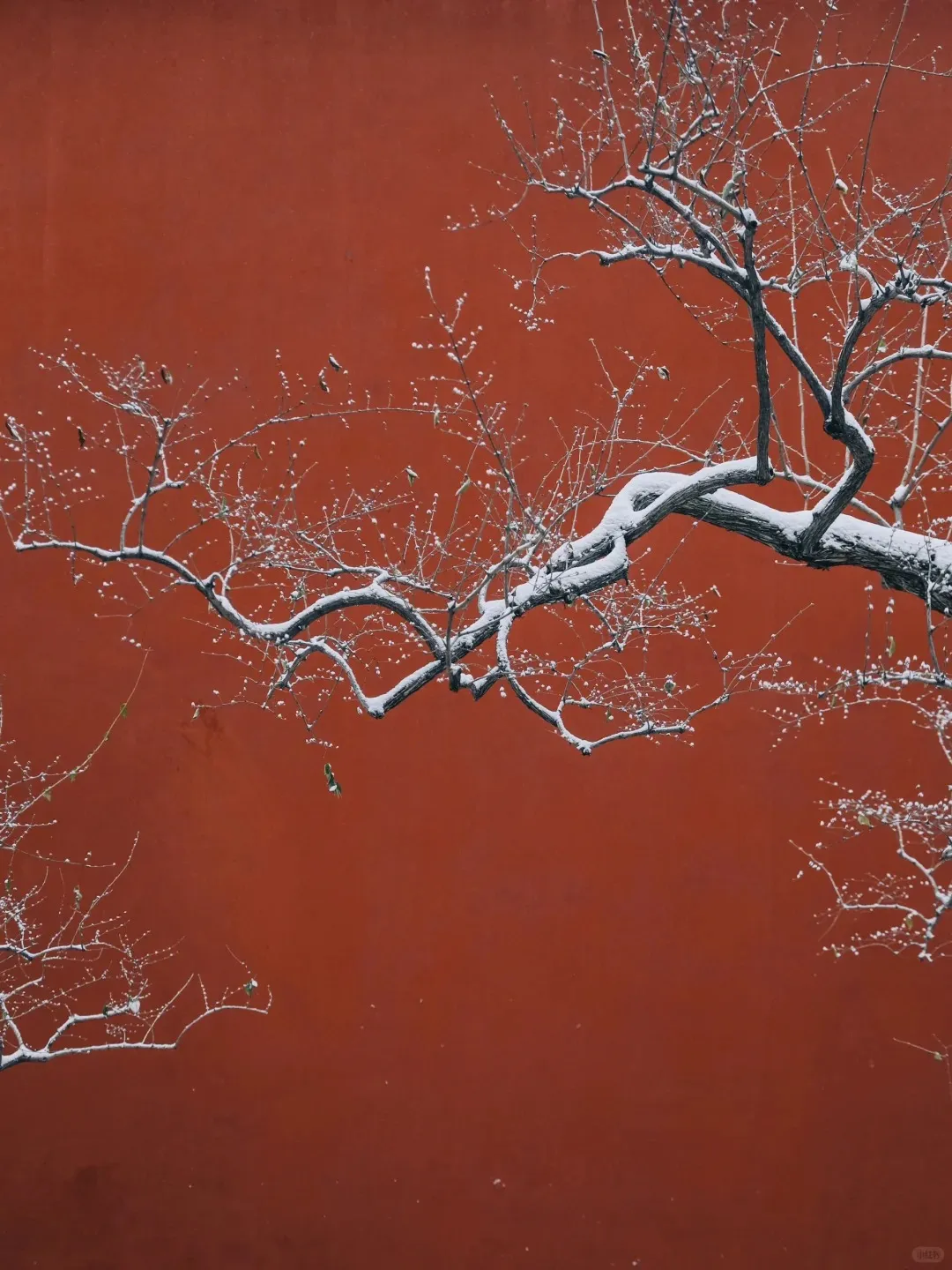 d982a1527cd34aa991f494a6fdcda787-sz_328336