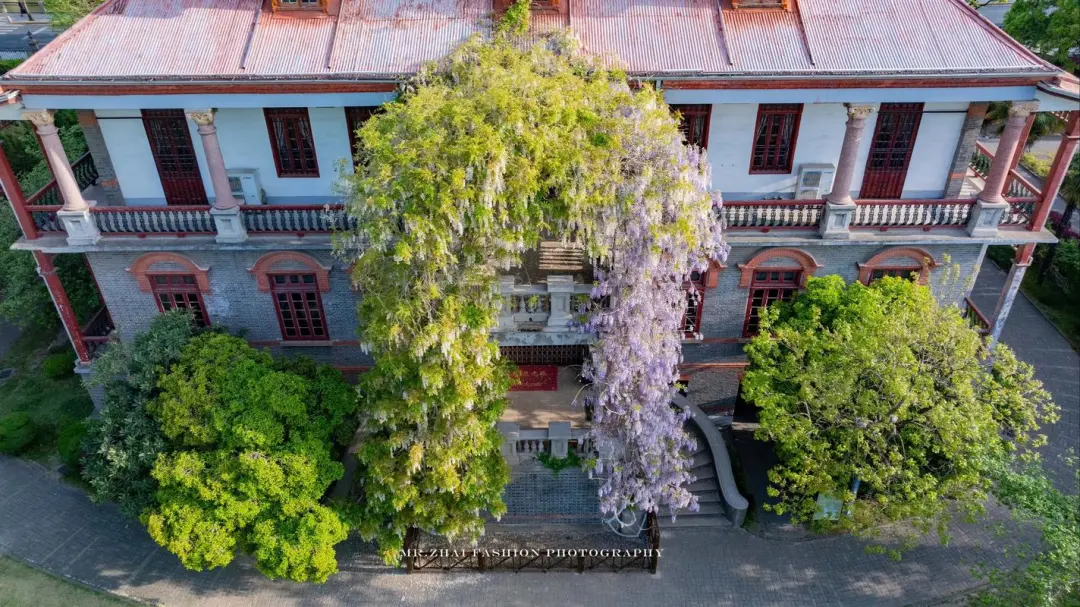 d9b2c448fb055a66cd49394b8be95472-sz_316137 d9b2c448fb055a66cd49394b8be95472-sz_316137