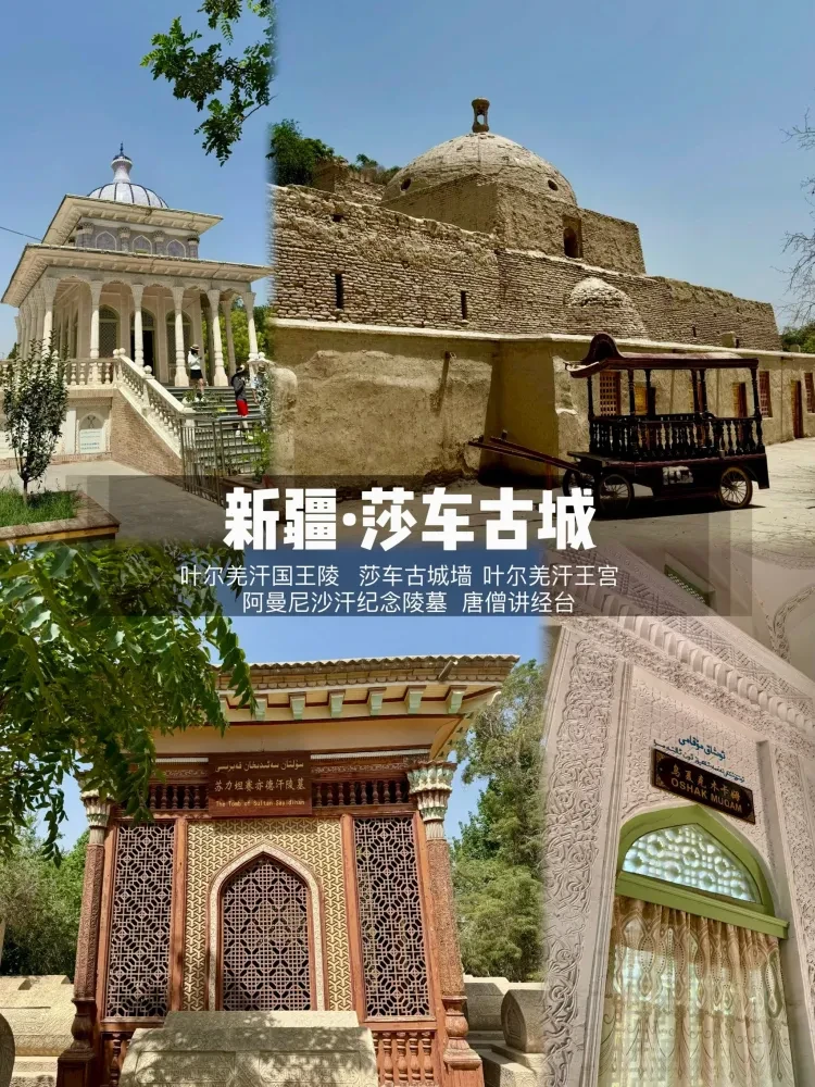 d9dc463328ebacd932f159a1b6385202-sz_1232140