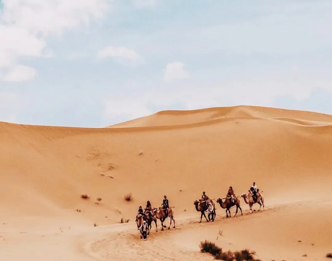 da1a9f979be570f8595c12624e50596d-sz_1210200