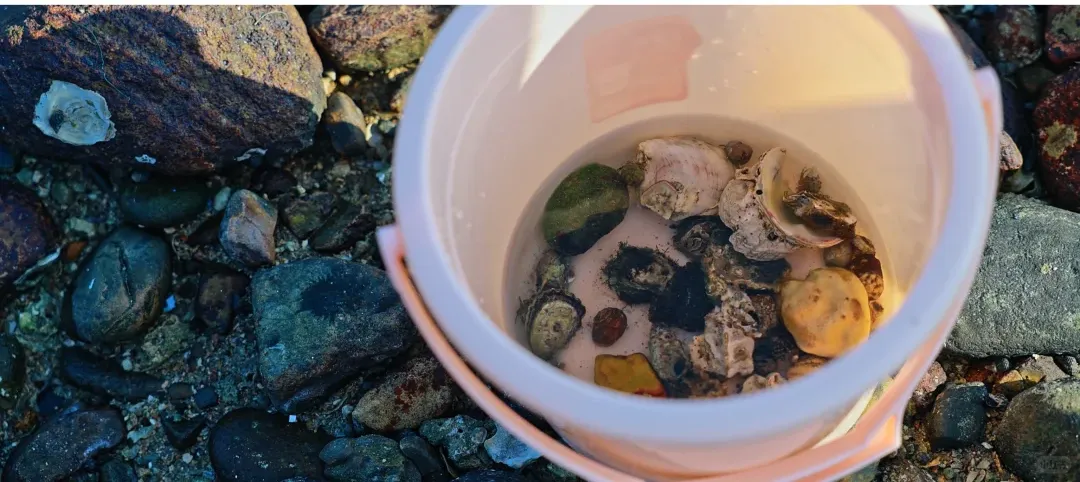 da4a12af25689cf650496f0e497c1410-sz_2505984-1