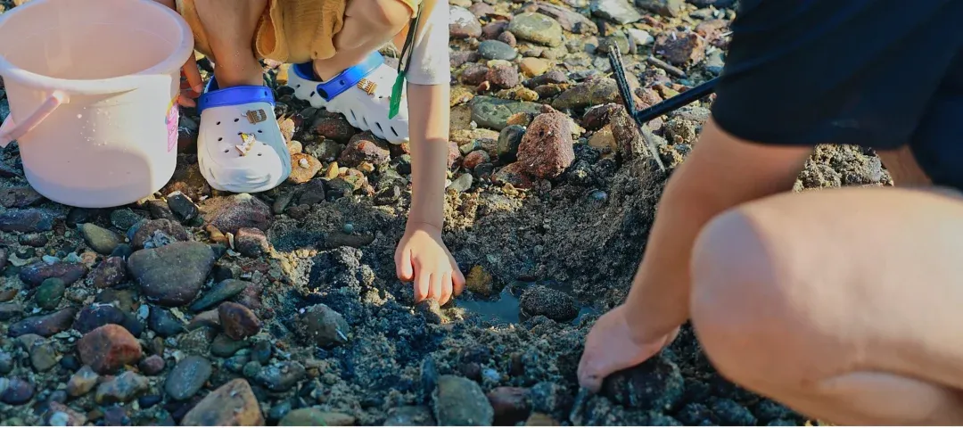 da4a12af25689cf650496f0e497c1410-sz_2505984