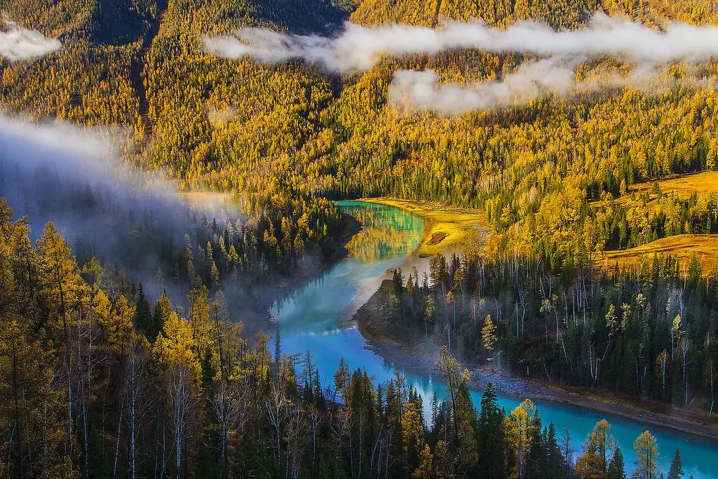 da570e47ee6a5dd8f263d456f8bdd69a-sz_231789