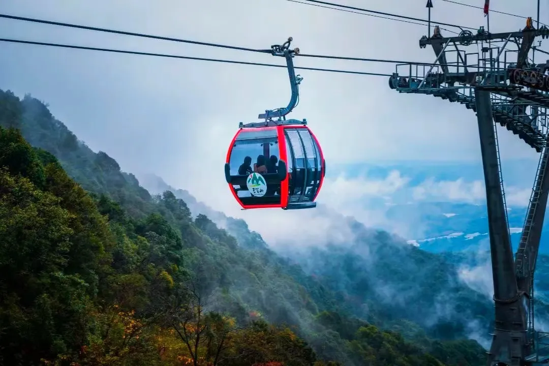 da6702b5e47a26babdad194aa9b28baf-sz_221553