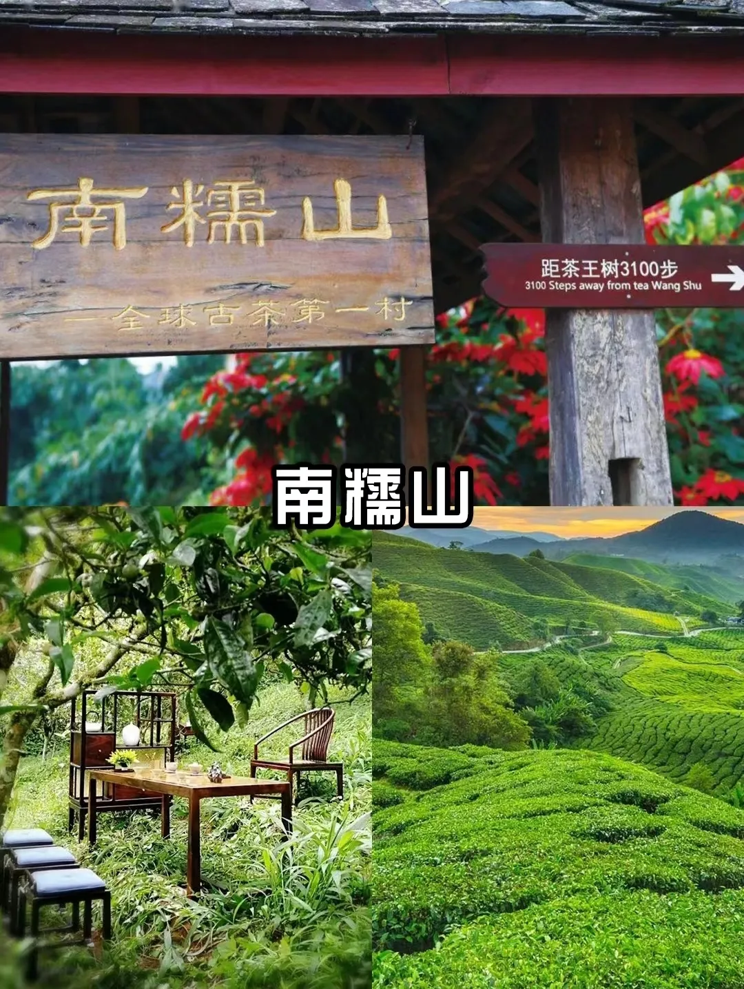 daf276d99d3834935001cb2991ff68df-sz_1179614