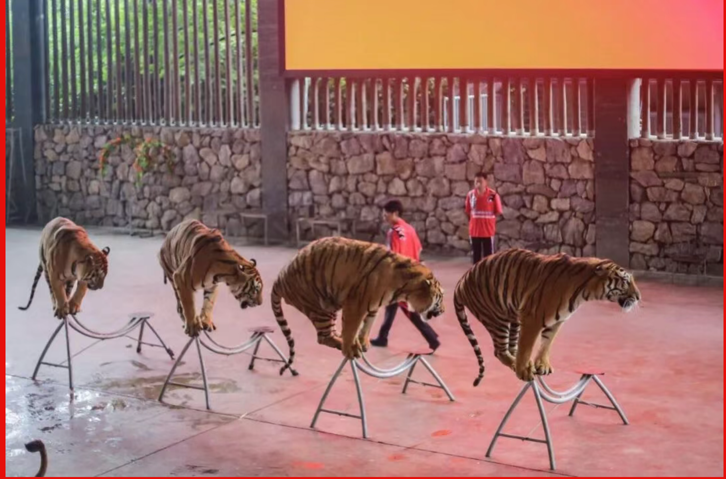 db3da9b30b23821842fb4aaa22c5eec9