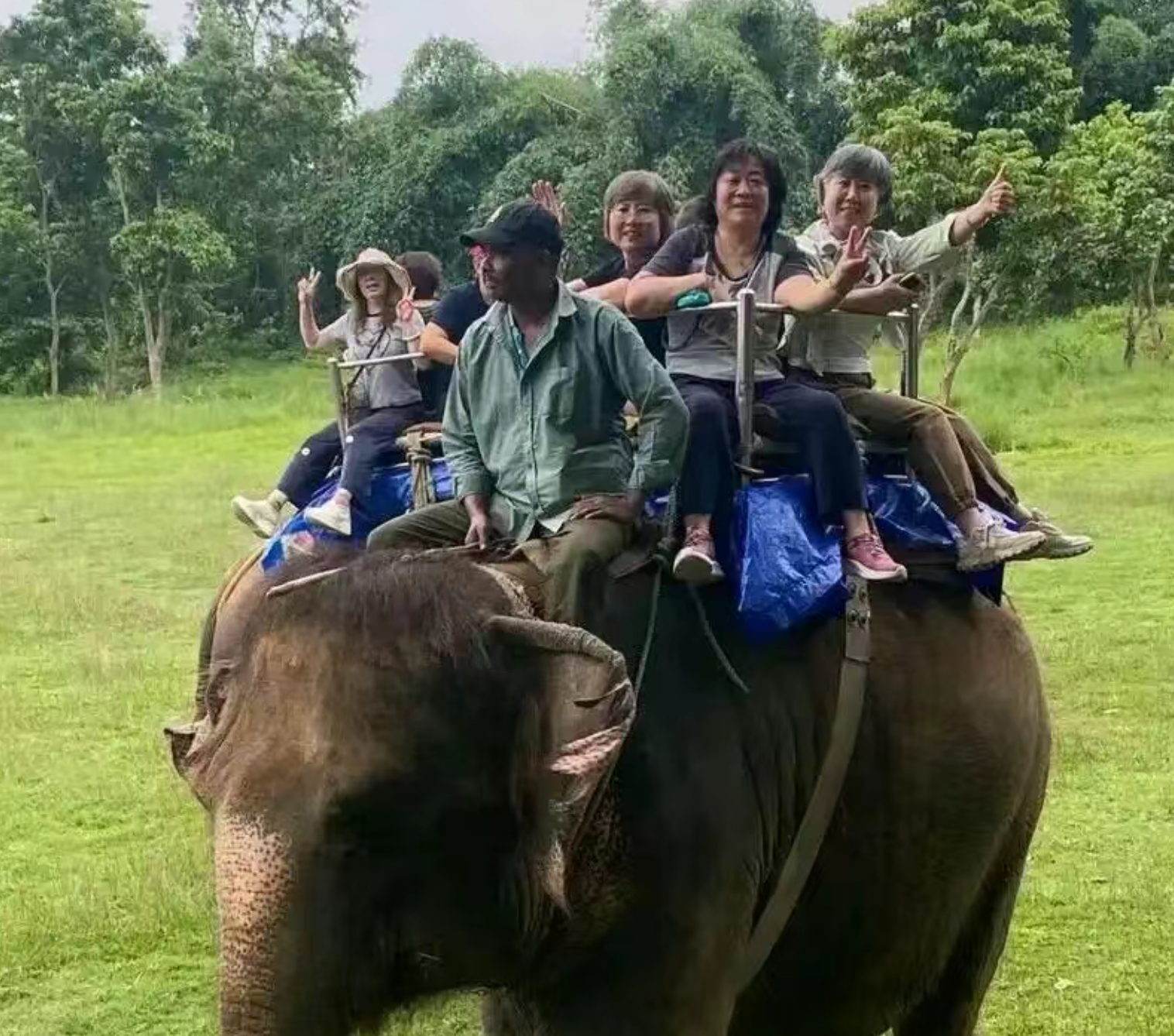 db58d09518325de7ff82a62e46f0d36d