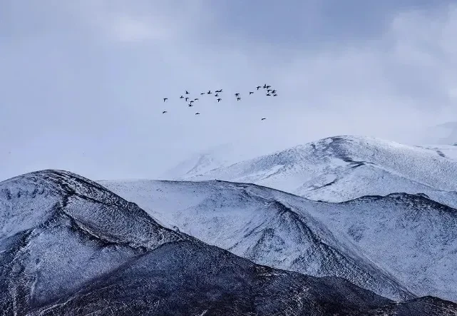 dbb10fdfc8e75d6d9d0a11c0b1a1404c-sz_496376-1