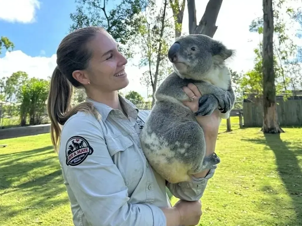 dc0cc0296bcb54d2f2d65a63fe6f7f48-sz_410181