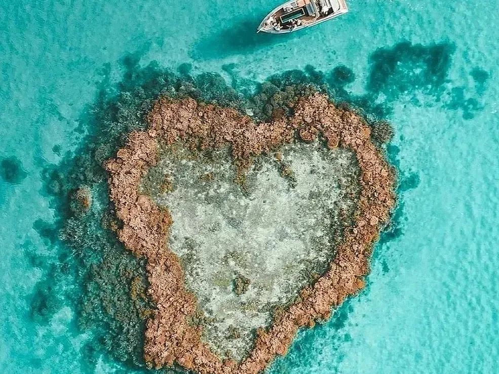 dc4d94af9e3c931da99d8ef80718618b-sz_554101