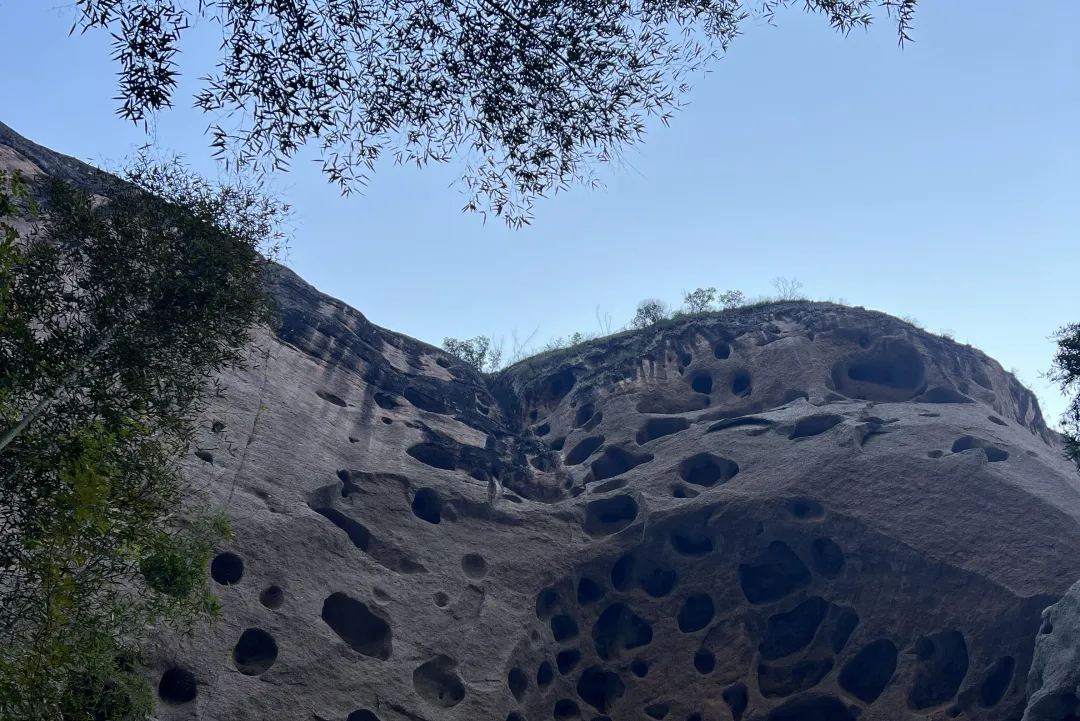 dc9fd6cb3b0fe258f5a987581a156e48-sz_3779061