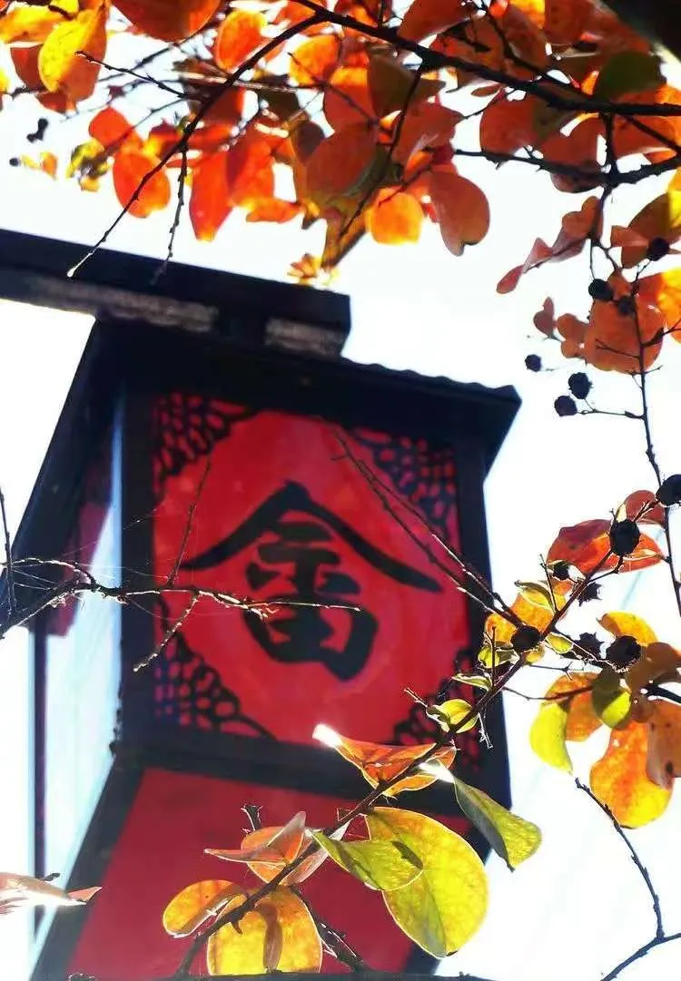 dcff11205b7e2b37d96092df29eff19a-sz_1682297