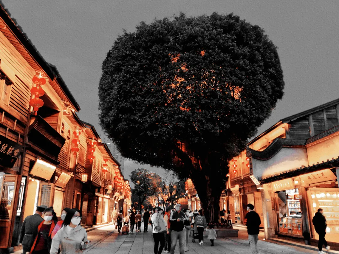 dd05b485dbeb45252ed3f05ef903a9e8-sz_474310