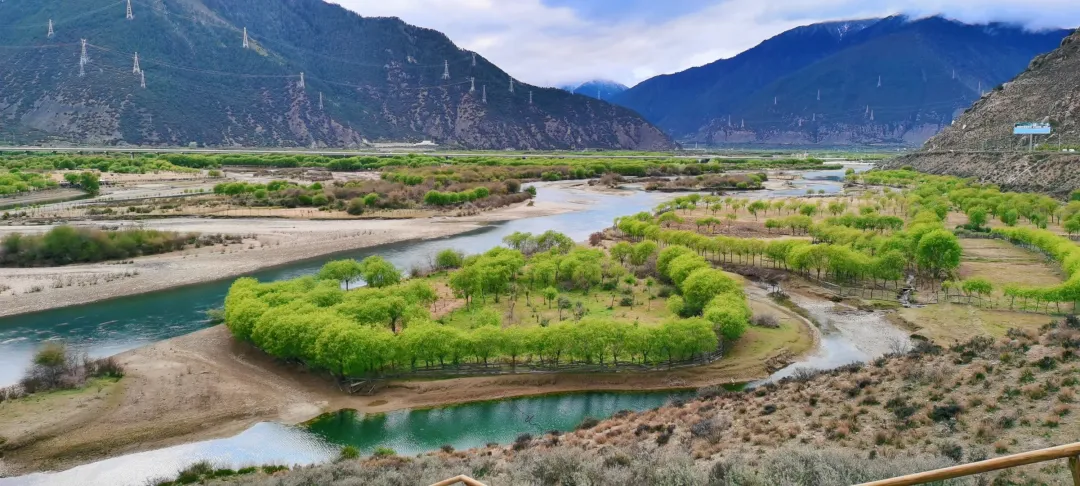 dd0840f7c8866a9862d3a0735a20445c-sz_4446034