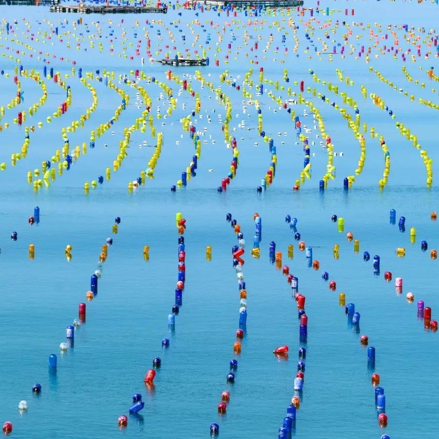 ♥纯玩潮汕•2499元/人【印象潮汕·南澳之旅】双动5日游＜潮州TOP10、汕头TOP10、南澳岛网红秘境，全程精选网评3钻酒店，4晚酒店不挪窝＞