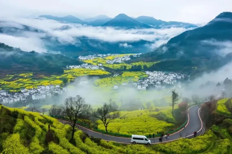 dd8013df8193d131575de436a25acb73-sz_129440