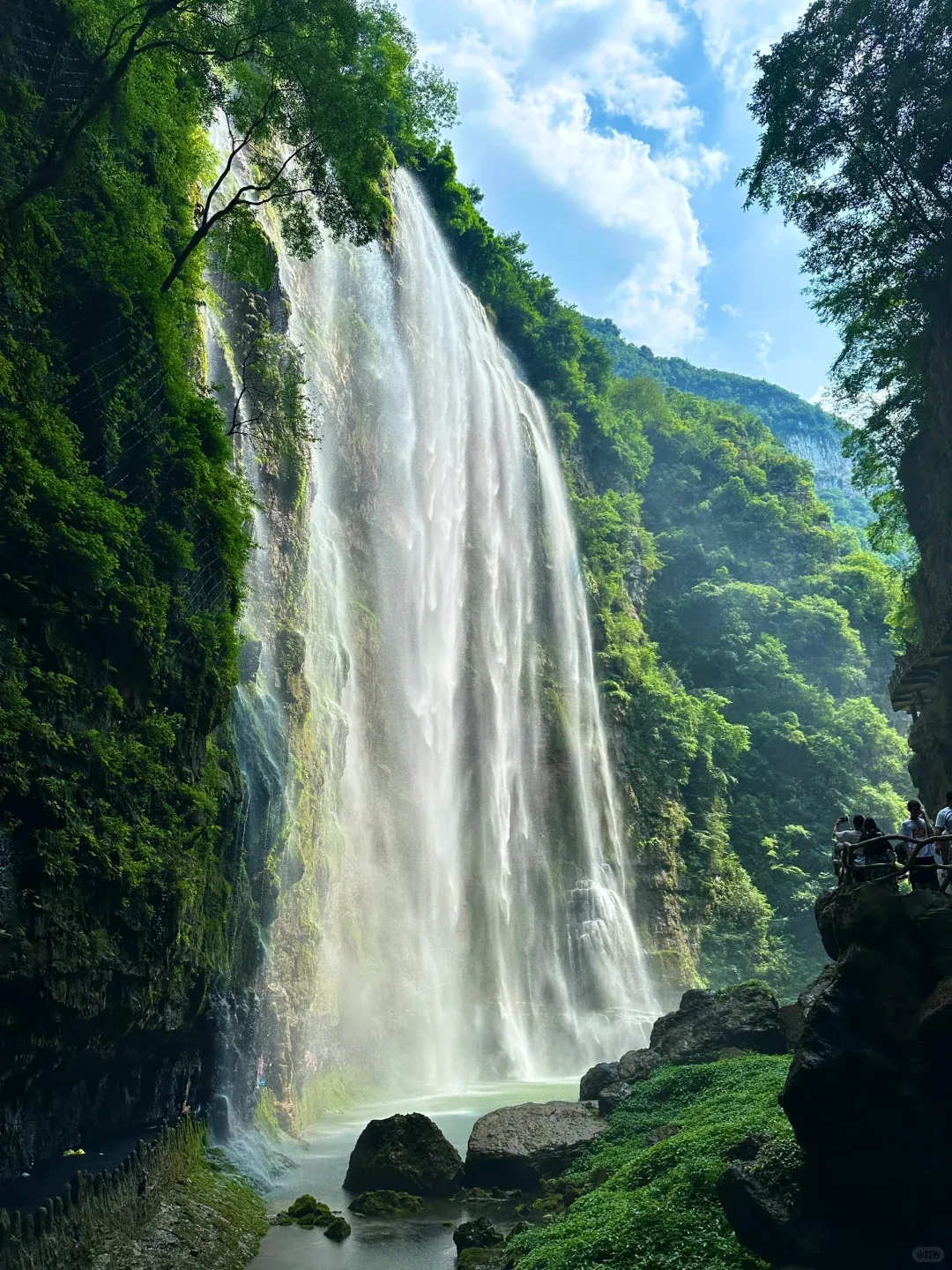 ddc23d055991cee6c40678dd24236e9e-sz_3024879