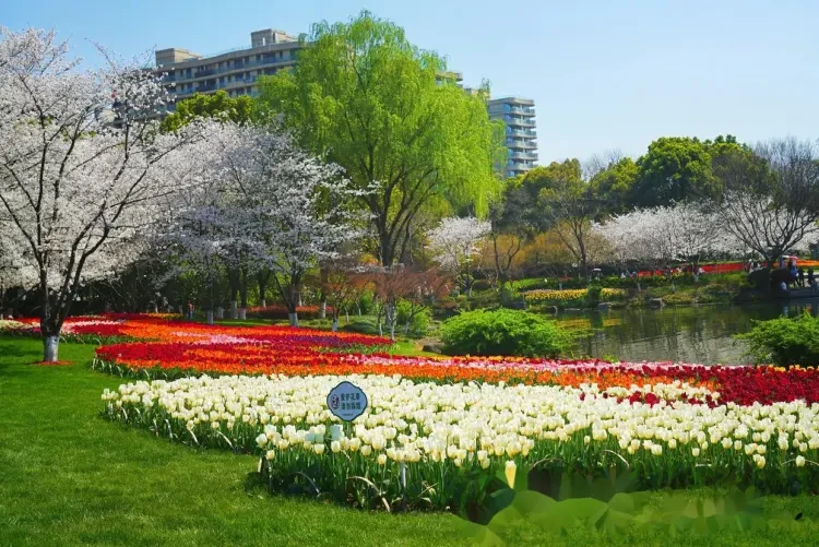 ddce70836ed4eb889169fb6984617301-sz_268925