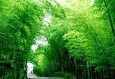 ddf2a8901a18bbf84321e5b5ab8e6492-sz_301179 ddf2a8901a18bbf84321e5b5ab8e6492-sz_301179