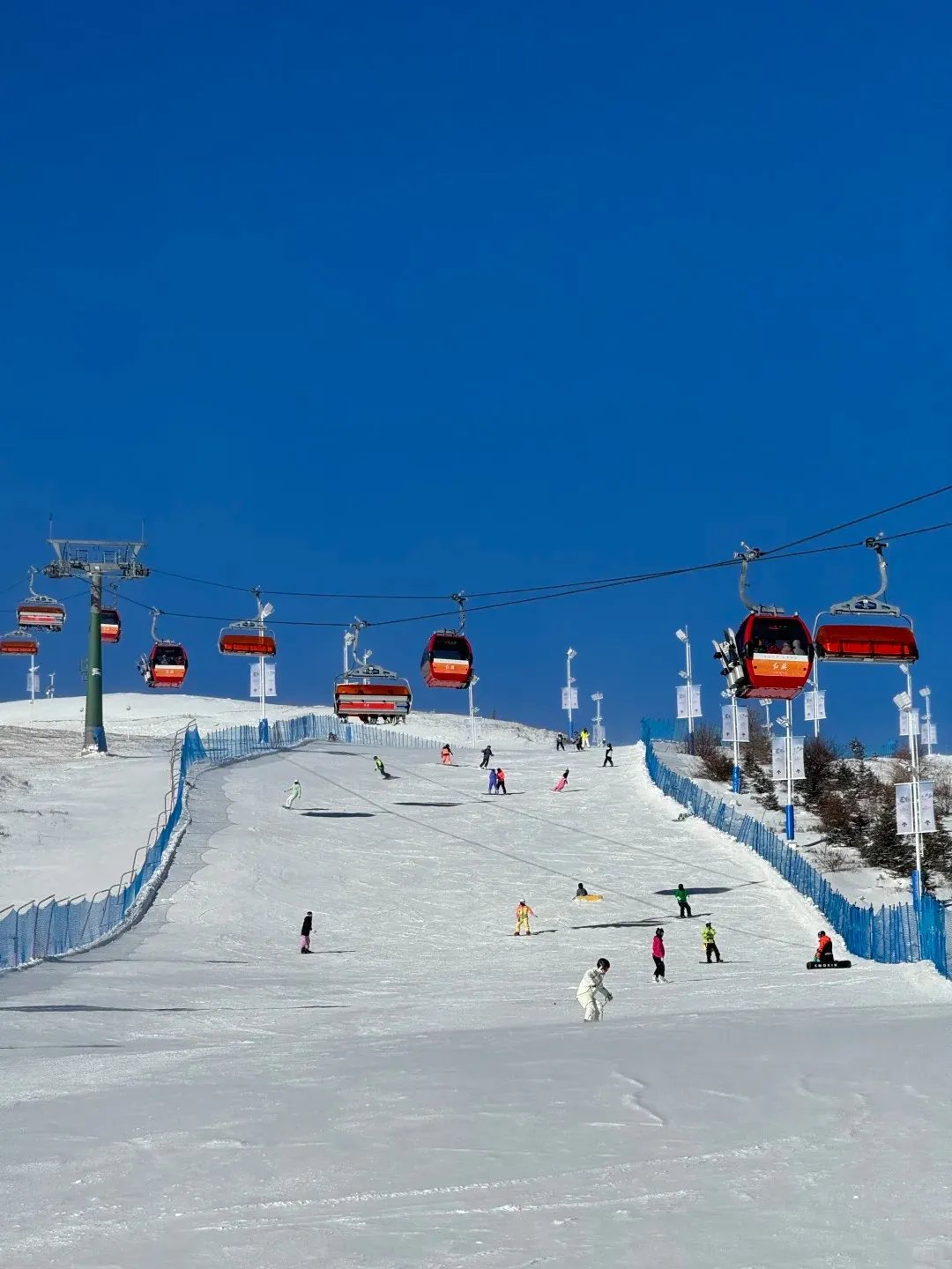 ddf65a44e90758dde3b056c7cd0ad803-sz_261356