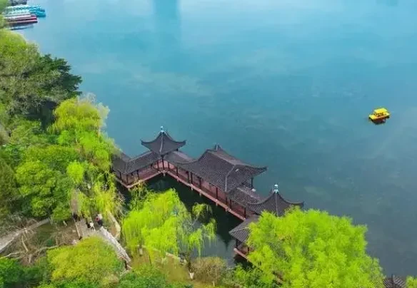 de0aea4ac531b0604c6cba5f22dcc0ee-sz_547139