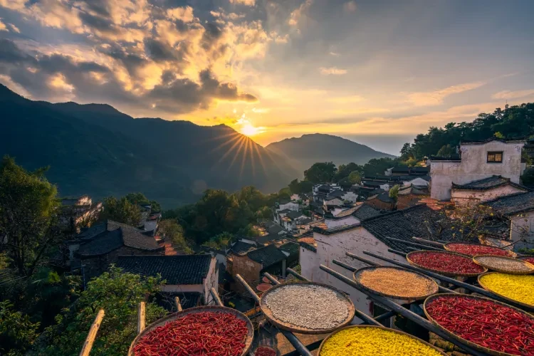 de2704faac847c08e6b4b9a9b4fa03ca-sz_1508633 de2704faac847c08e6b4b9a9b4fa03ca-sz_1508633