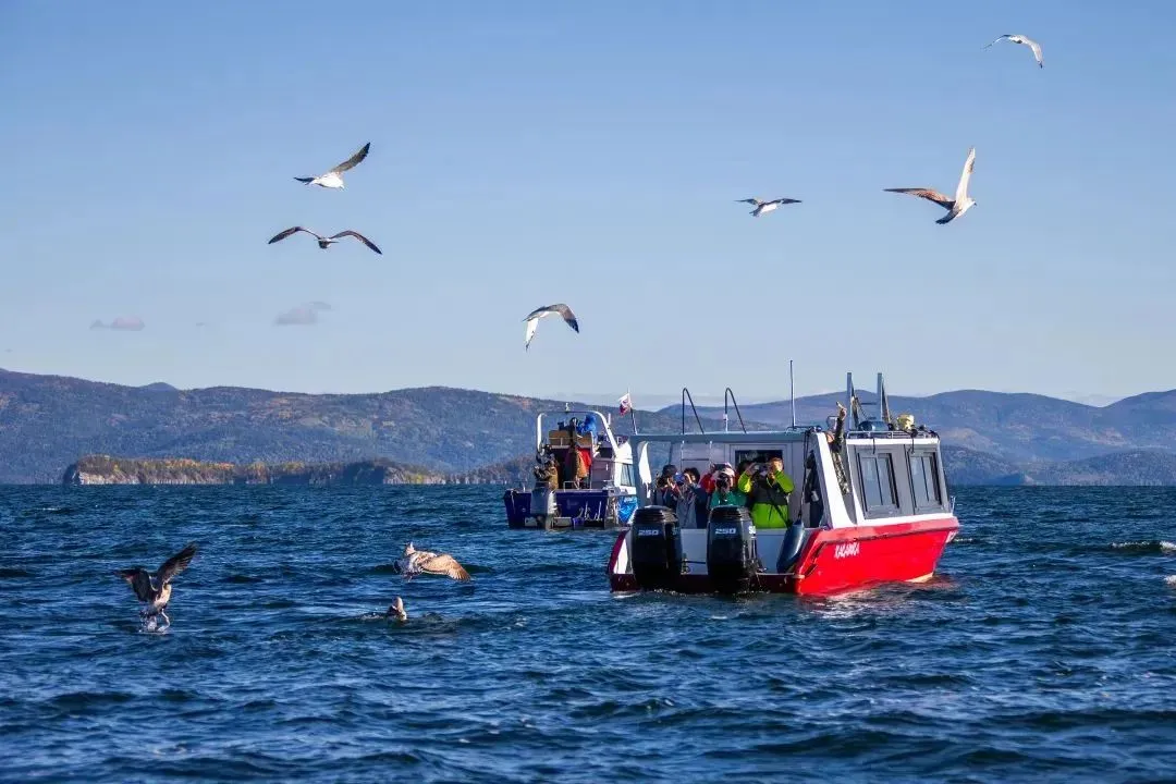 de31da54f097bdf873aa108623f990ae-sz_111821