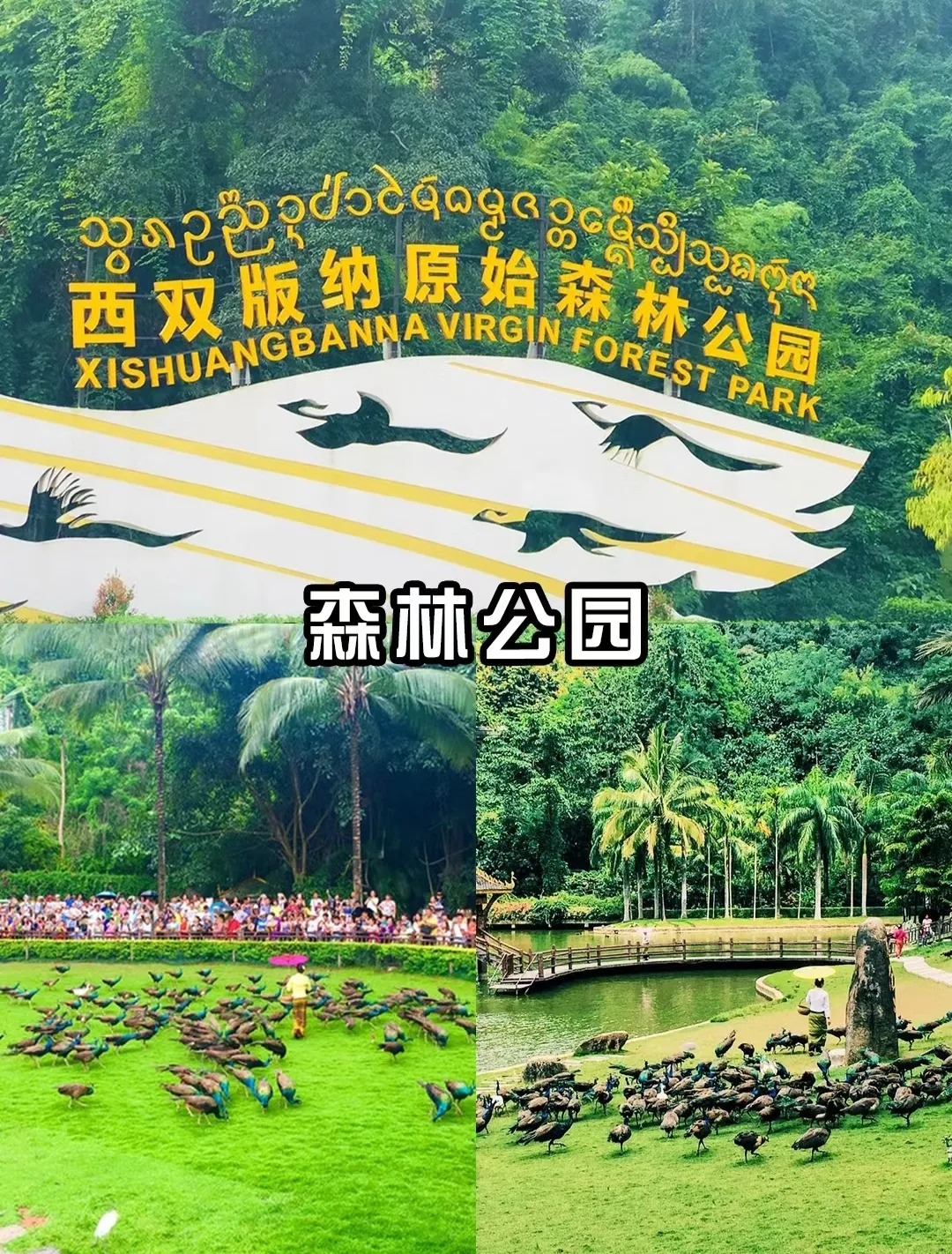 de5baadd213c139dac5befb714c3110e-sz_1382048