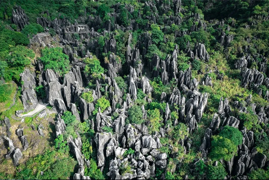 de8b843aefcaa5abfd23c58bb3a49bc6-sz_730579