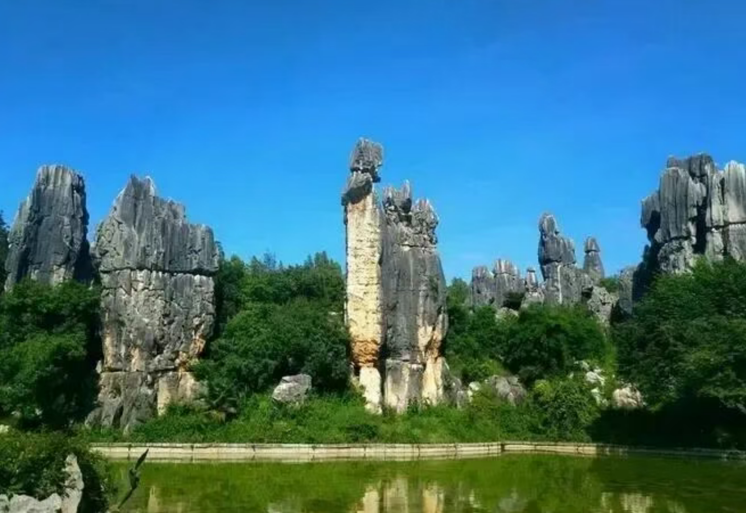 ded157fa4e73eba6196d98494ccdaeb6